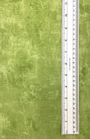 CANVAS (KIWI-9030-71) - fabric price per 1/4 meter