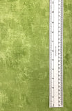 CANVAS (KIWI-9030-71) - fabric price per 1/4 meter