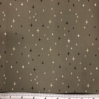 NORTHERN LIGHT (516735-13) - fabric price per 1/4 meter